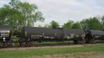 CBTX 725950